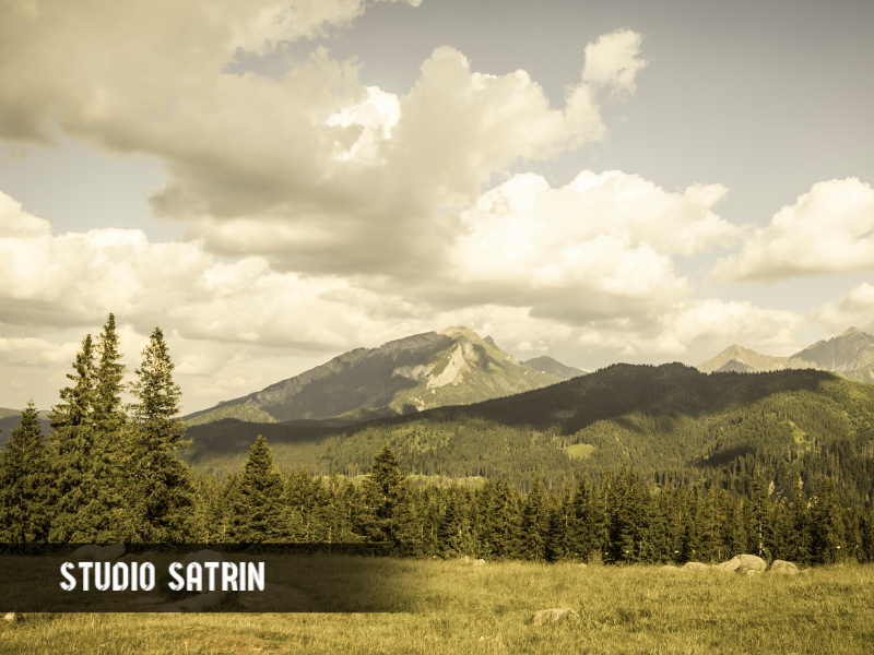 عکس با استایل وینتیج